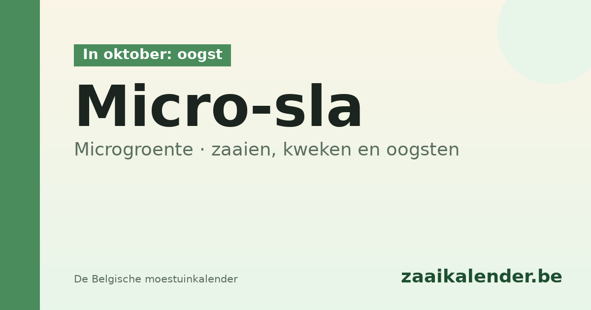 Micro-sla kweken België